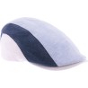 Tricolor flat cap.